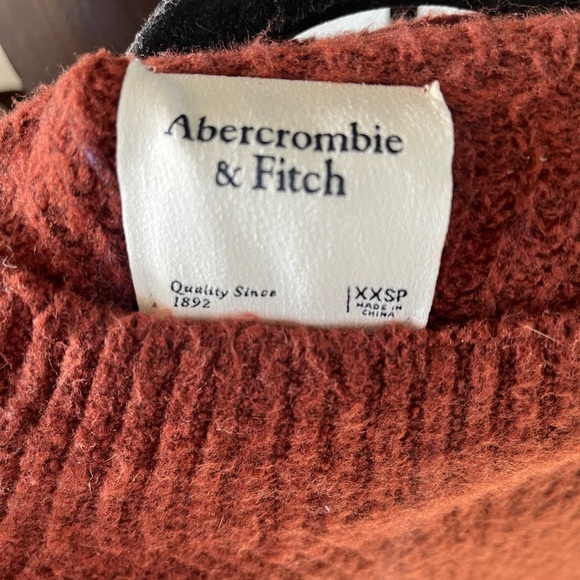 Abercrombie Sweater Dress - Picture 3 of 3